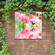 Outdoor Canvas Wall Art - Daisy